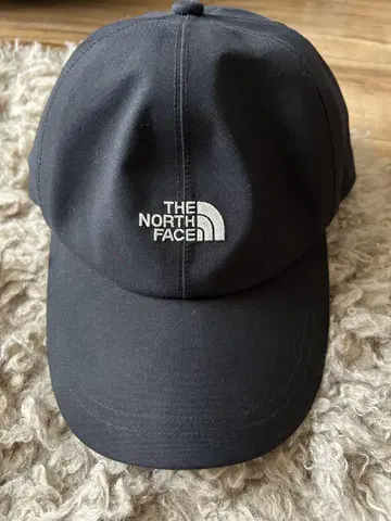 THE NORTH FACE GORE-TEX 캡 프리 사이즈