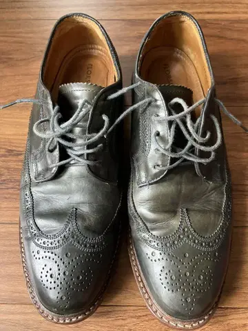 FLORSHEIM 리미티드 다크 네이비 윙 팁 신발