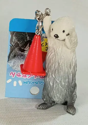 도바 수족관 랏코 메이 키링 새상품 무료배송!