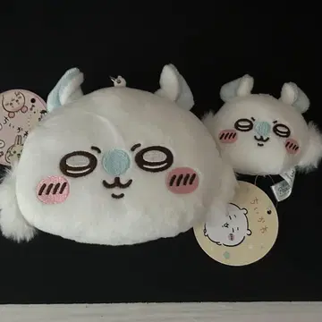 치이카와 모모가 세트