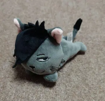 하이큐 검은 꼬리 고양이 다루이