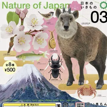 Nature of Japan 일본의 생물 전 8종 컴플리트
