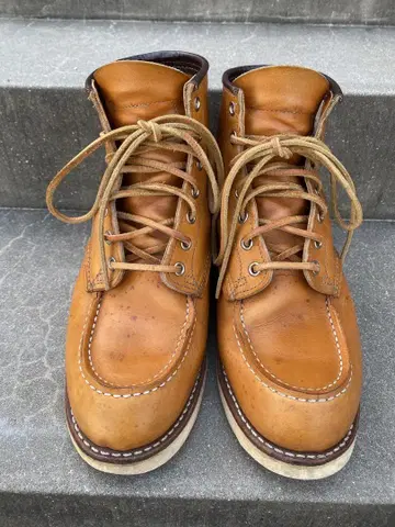 레드 윙 9875 아이리쉬 세터 8E 26cm