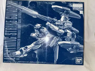 MG 1/100 라이트닝 스트라이크 건담 Ver.RM