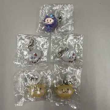 TRUZ 메지루시 키링