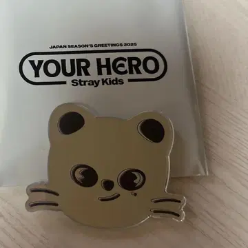 straykids 스키즈 SKZOO 거울 스티커 지니 레트