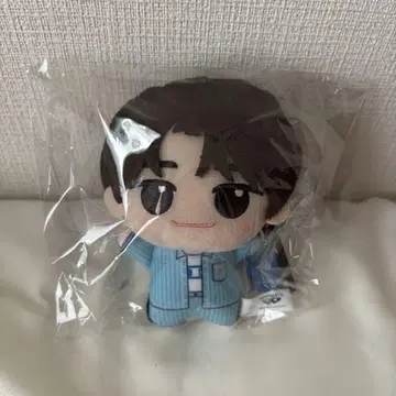 TWS SD 인형 시누이 24시간 이내 익명 배송