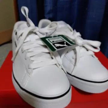 푸마 v 코트 벌크 24cm