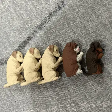 합장 개 배 3종 세트
