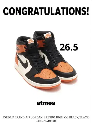 AIR JORDAN 1 RETRO HIGH OG 쉐터드 백보드