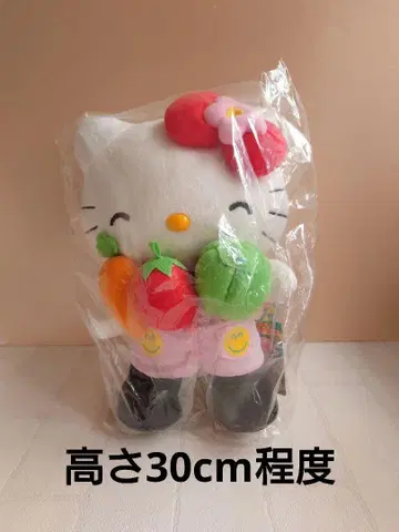 HELLO KITTY 키티 켄린도 관리 영양사 봉제 인형 L 사이즈 야채