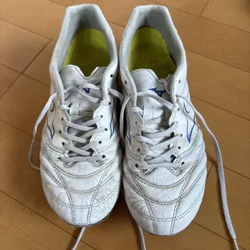 Mizuno 축구 스파이크 화이트/블루 25.5