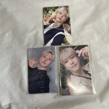 세븐틴 호시 쇼히키겐 앨범 카라트판