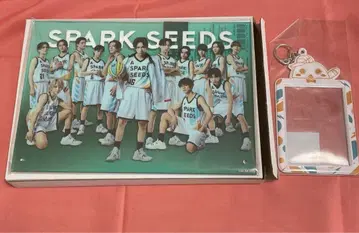 SPARK SEEDS 비주얼 보드 카드 폴더