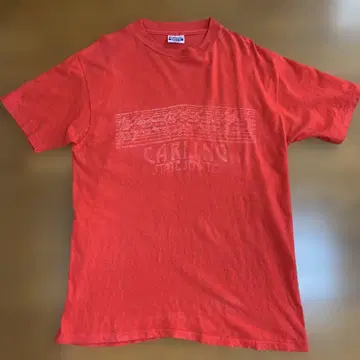 Hanes 헤인즈 Beefy-T 티셔츠 USA제 L 사이즈