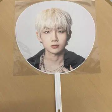 Hi-Fi un!corn 테민 부채