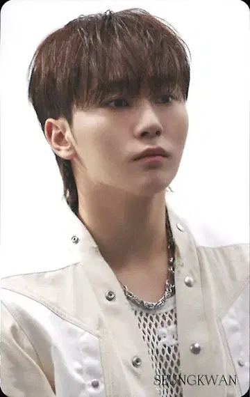 세븐틴 HMV SEUNGKWAN FACE THE SUN CARAT