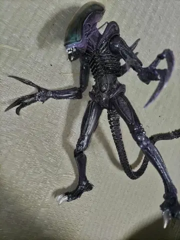 NECA 네카 레이저 크로우 에이리언 제노모프 에이리언