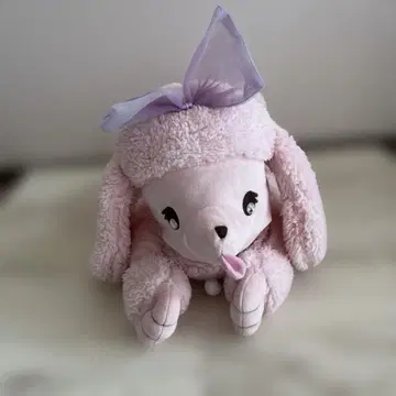 푸들 티슈 박스