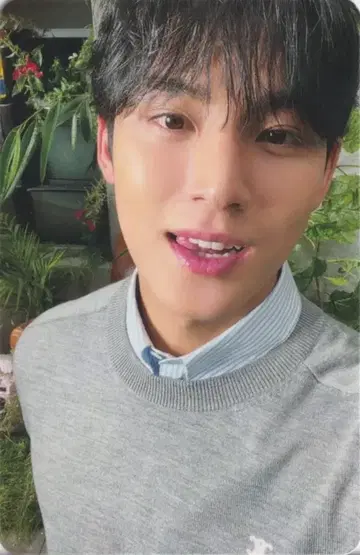 SEVENTEEN 일반ver MINGYU 유통기한