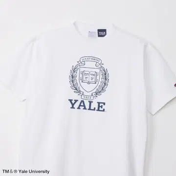 새상품급 챔피온 T1011 YALE 대학 미국제 화이트 XL 티셔츠