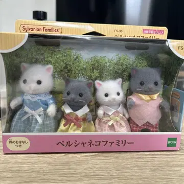 실바니아 페르시아 고양이 가족