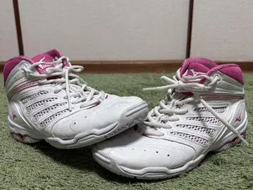 댄스] 미즈노 MIZUNO WAVE DIVERSE LG2 핑크