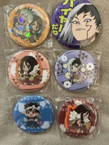 Dr.STONE 캔뱃지 이시가미 치쿠사 사자오 아사기리 겐 캔뱃지 6개