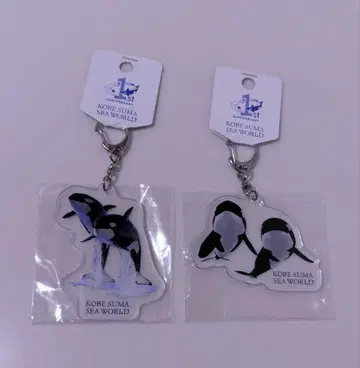 스마 씨월드 1주년 기념 굿즈 아크릴 키링 오카미 스텔라 란