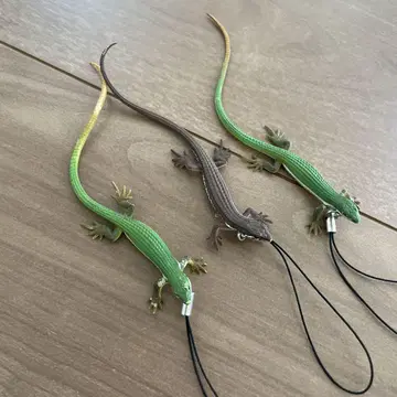 네이처 테크니컬러 파충류 도마뱀 캡슐 토이