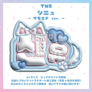 부푼 네임 보드 TWS 시뉴 투아스 사모에드 강아지 개