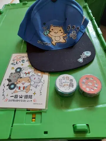 고양이 세트