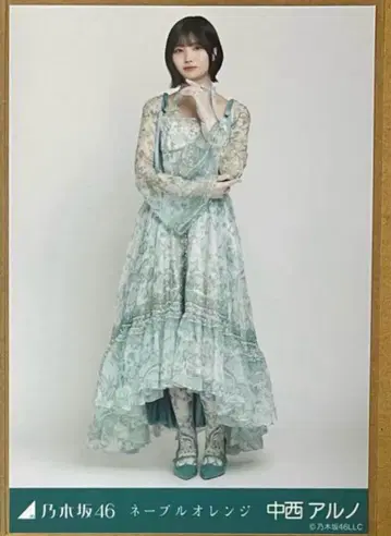 나카니시 아르노 네이블 오렌지 브로마이드 히키