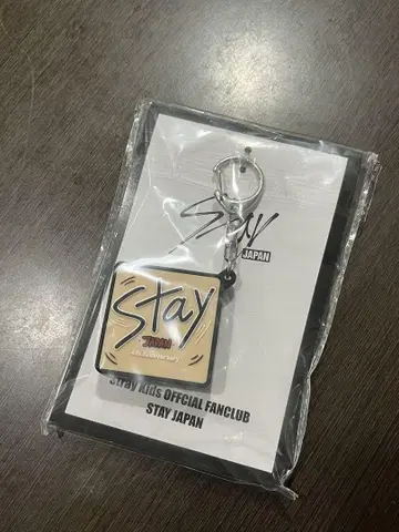 Stray Kids 승민 보이스 키링 fc 한정판