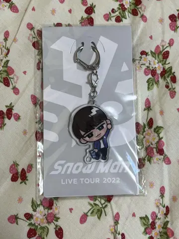 스노우 치르 아크릴 키링 와타나베 쇼타 SnowMan