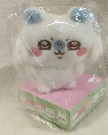 에이코 피타레스토 후와모코 컬렉션 모몽가