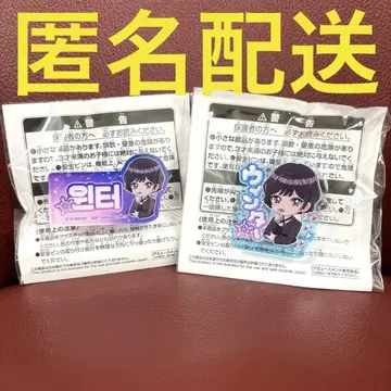 aespa 이름 아크릴 배지 윈터 에스파 남코 2종 II