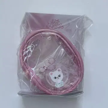 straykids clear pouch 현진 지니 레트