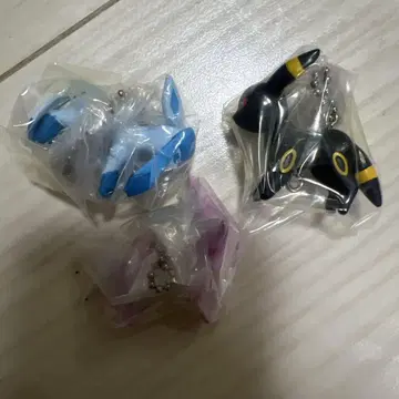 포켓몬을 집어 연결 마스코트 13 블래키, 에피, 글레이시아