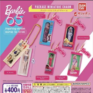 바비 패키지 참 5종 컴플리트 세트