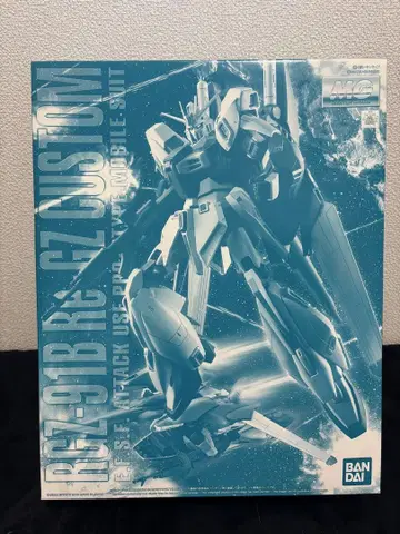 RGZ-91B Re-GZ CUSTOM 1/100 반다이