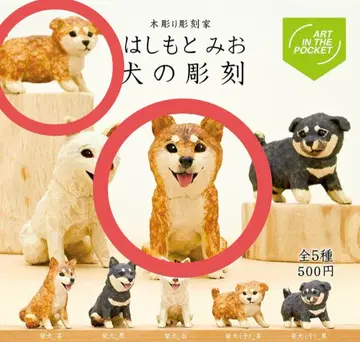 하시모토 미오 개의 조각 시바견 브라운