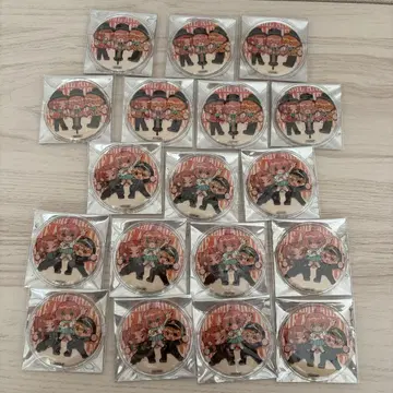 아라나루메이 캔뱃지