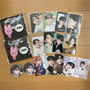 stray kids 스키즈 찬빈 돼끼 묶음 판매 세트 판매