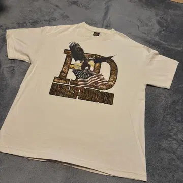 HARLEY-DAVIDSON 이글 T XL