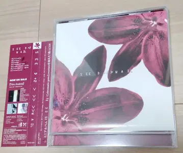 WAIL SEED + 2 새상품급 레어 V계