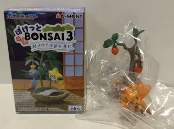 리멘트 포켓 BONSAI3 로콘 3