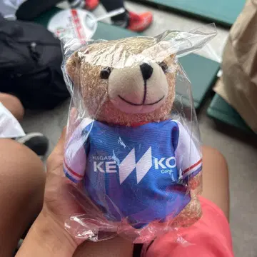 곰 봉제 인형 NAGASE KENKO