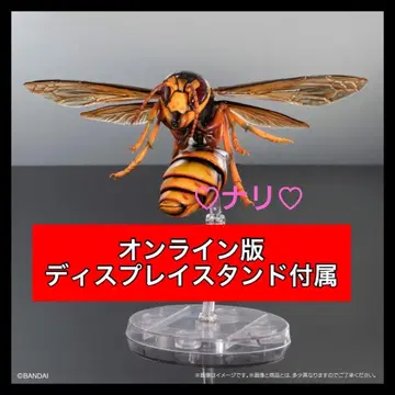 새상품 키이로스즈메바치 생물대도감 어드밴스 말벌 02 곤충 생물 a