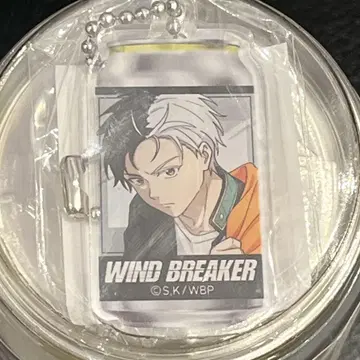 WIND BREAKER 아크릴 키링 산토리 벚꽃 하야